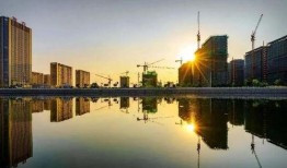 前湾新区爆料事件最新情况,最新进展及各方回应盘点”