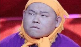 娱乐吃瓜酱岳云鹏,娱乐吃瓜酱的搞笑人生