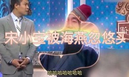 海燕爆料宋小宝视频,揭秘娱乐圈背后的故事